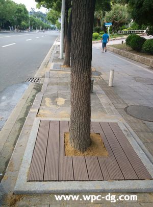 鳳崗鎮中心樹池